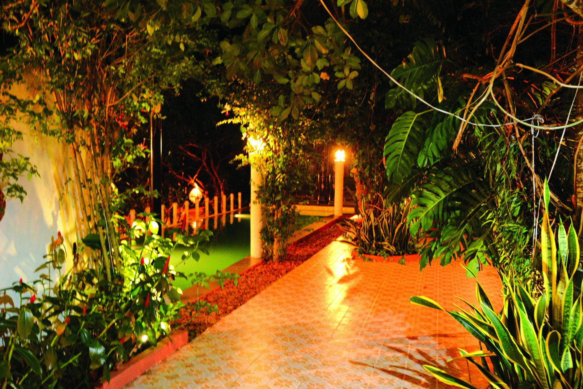 Hotel Tropical Hill Kep Cambodia Exteriér fotografie